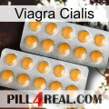 Viagra Cialis levitra2